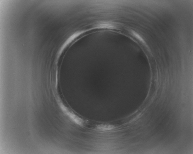 X0000081611323200701221152