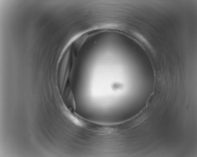 X0000081611324200701221152