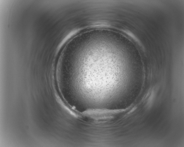 X0000081611325200701221152