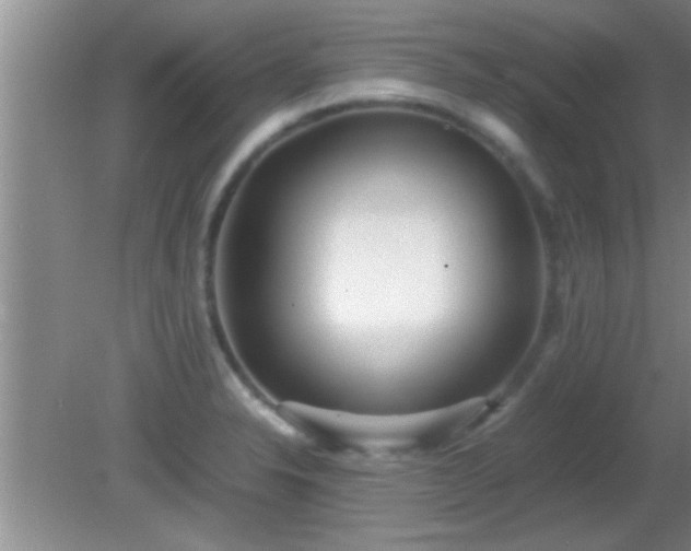 X0000081611326200701221152