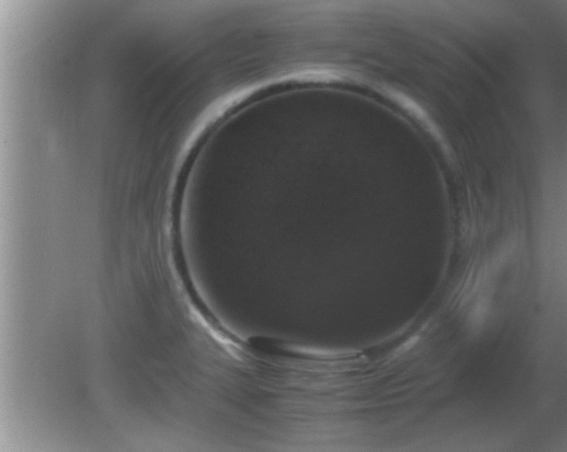 X0000081611327200701221152