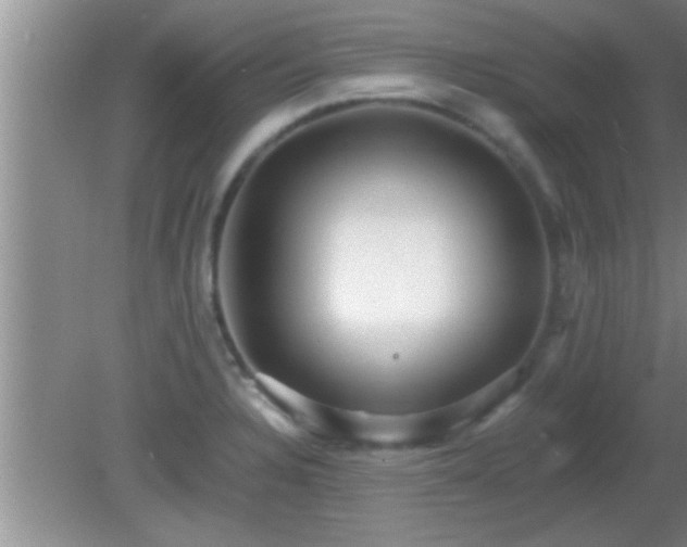 X0000081611328200701221152