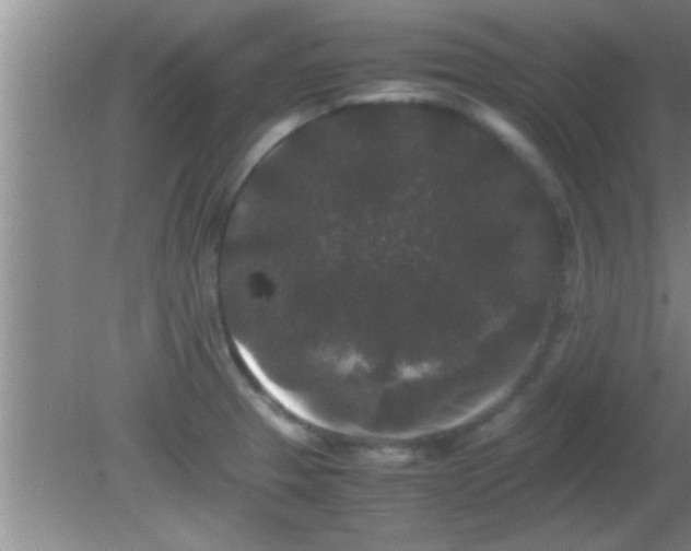 X0000081611329200701221152