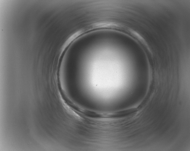 X0000081611330200701221152