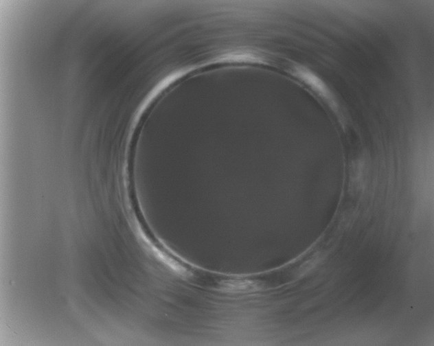 X0000081611331200701221152