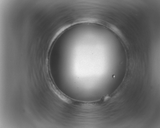 X0000081611332200701221152