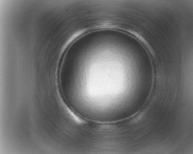 X0000081611333200701221152