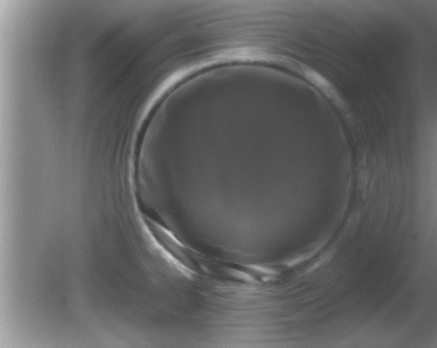 X0000081611334200701221152