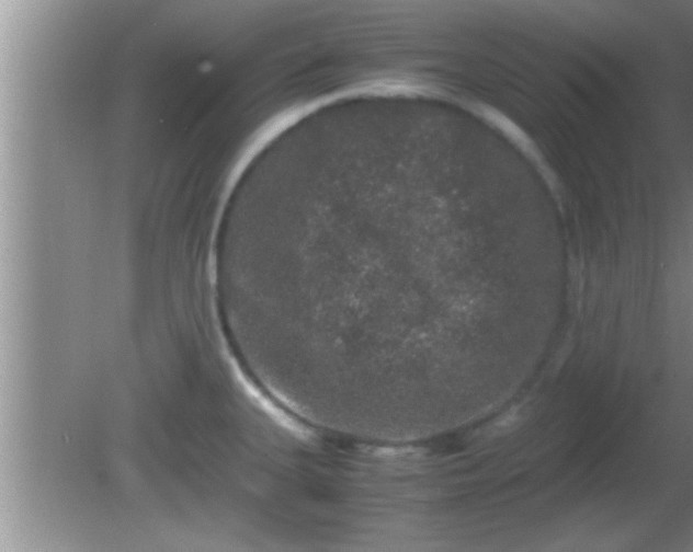 X0000081611335200701221152