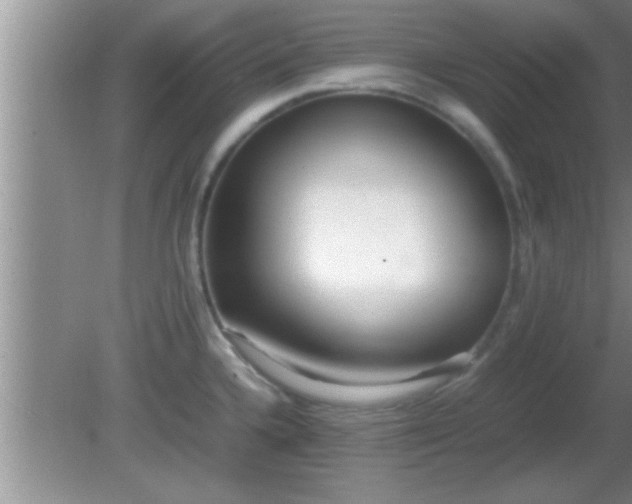 X0000081611336200701221152