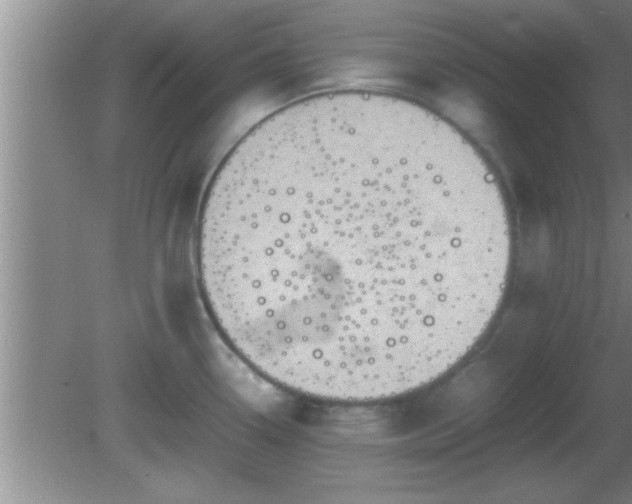 X0000081611338200701221152