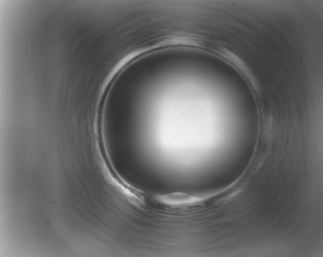 X0000081611339200701221152