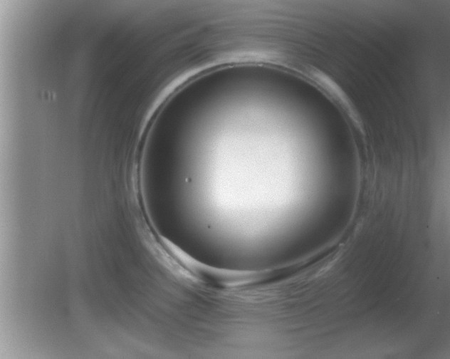 X0000081611340200701221152