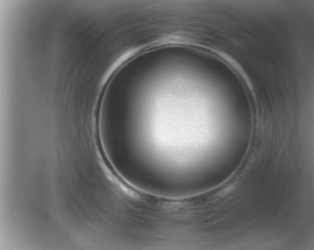 X0000081611341200701221152