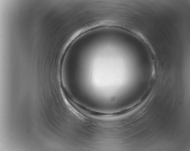 X0000081611342200701221152