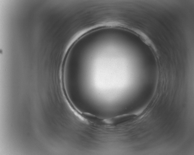 X0000081611343200701221152