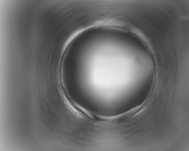 X0000081611344200701221152