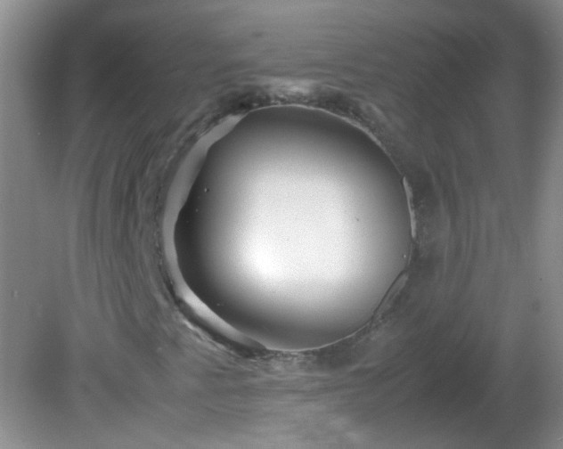 X0000081611345200701221152