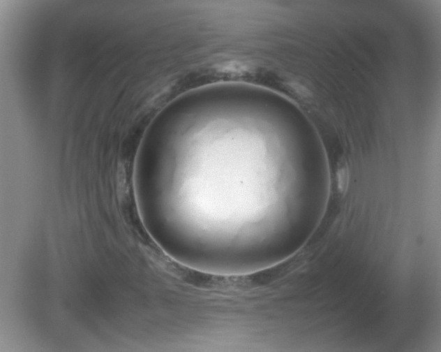 X0000081611347200701221151