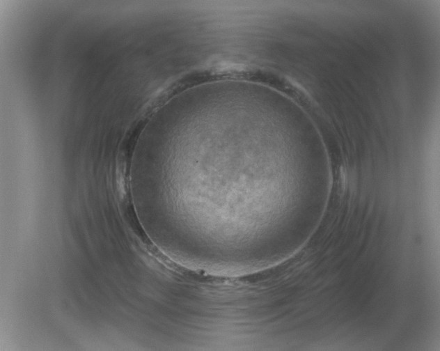 X0000081611348200701221151