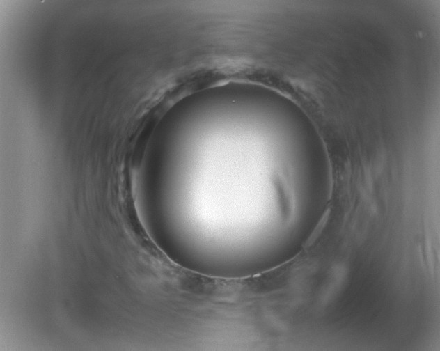 X0000081611349200701221151