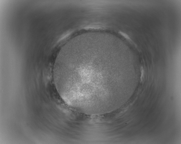 X0000081611350200701221151