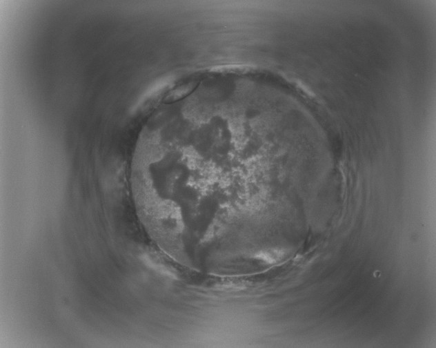 X0000081611351200701221151