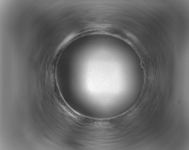 X0000081611354200701221151