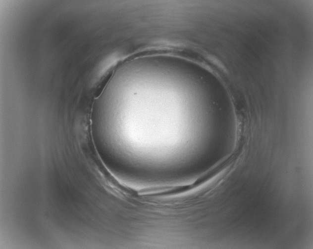 X0000081611355200701221151