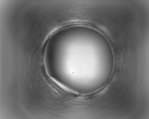 X0000081611357200701221151