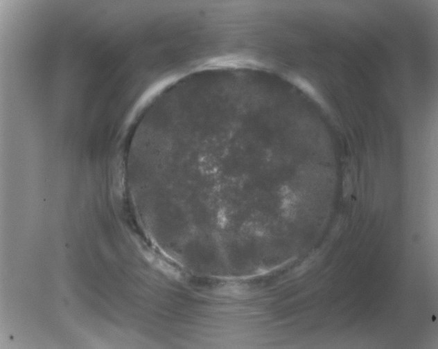 X0000081611358200701221151