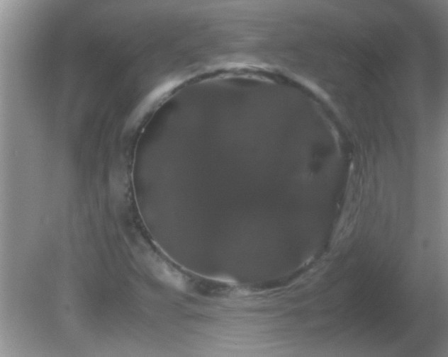 X0000081611359200701221151