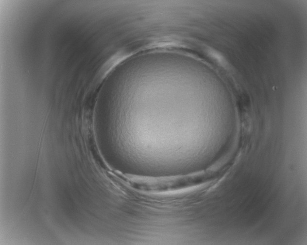 X0000081611361200701221151