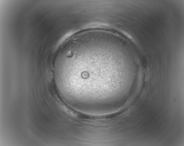 X0000081611363200701221151