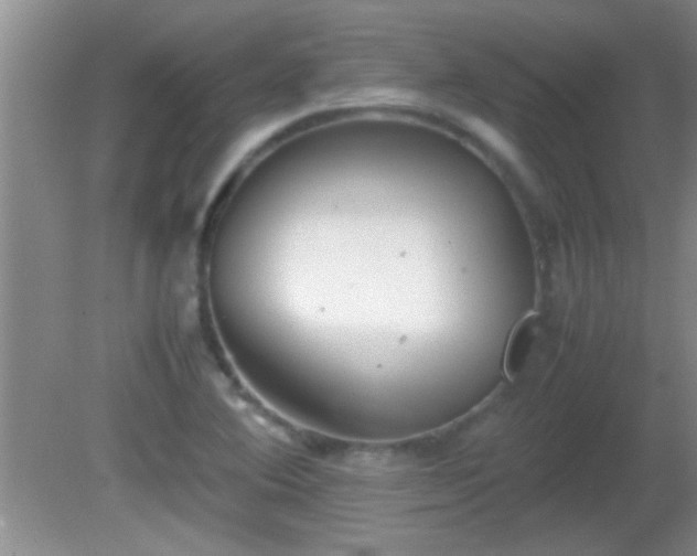 X0000081611364200701221151