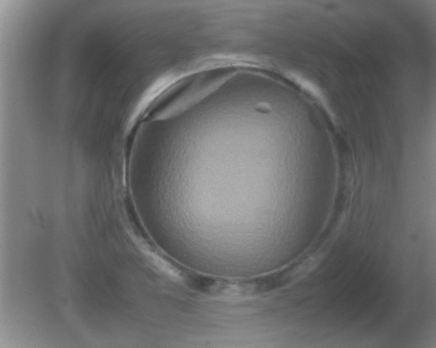 X0000081611365200701221151