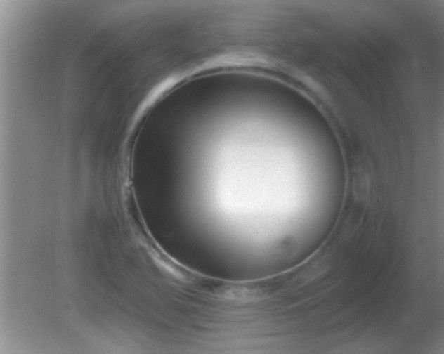 X0000081611366200701221151