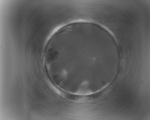 X0000081611367200701221151