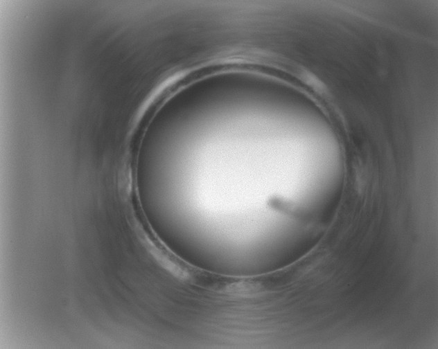 X0000081611368200701221151