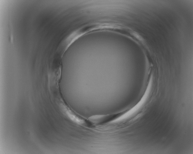 X0000081611369200701221151