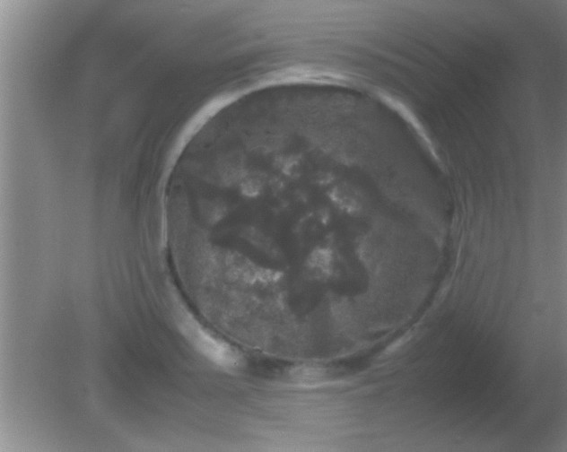 X0000081611371200701221151