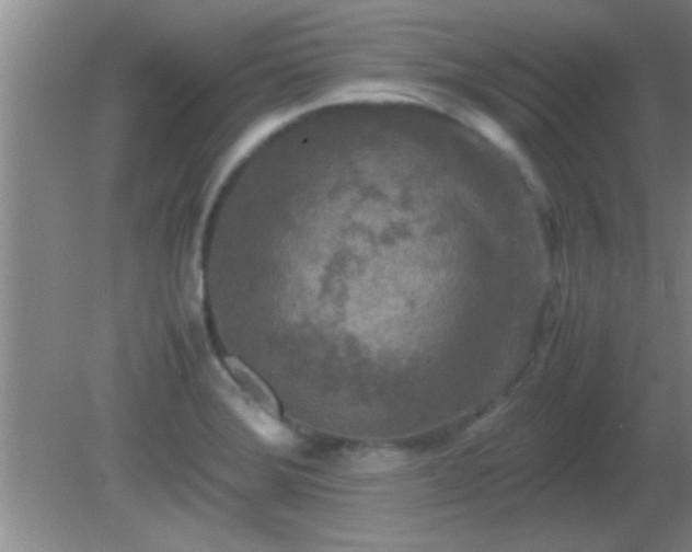 X0000081611372200701221151