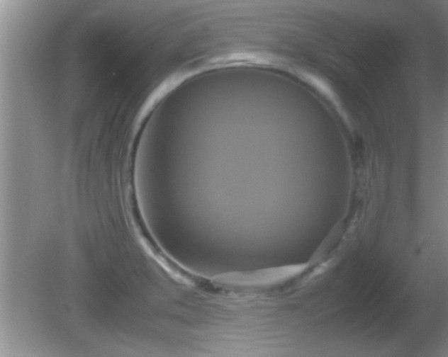 X0000081611373200701221151