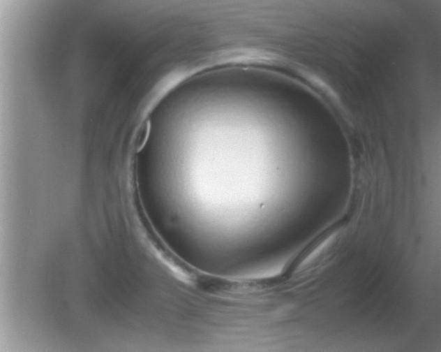 X0000081611375200701221151