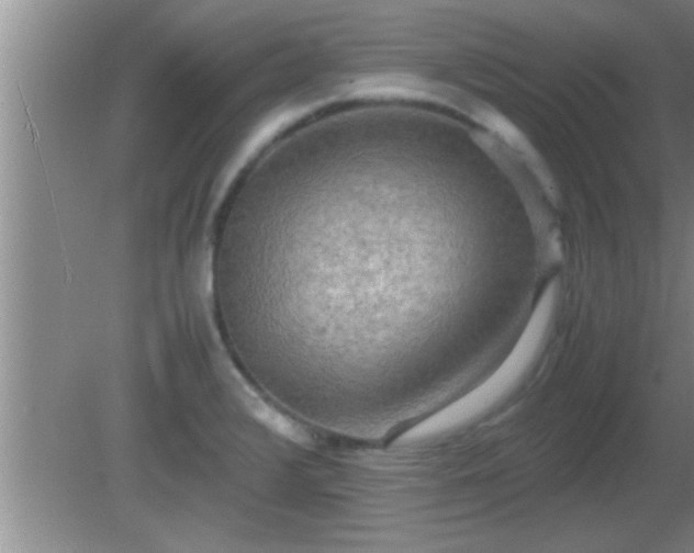 X0000081611376200701221151