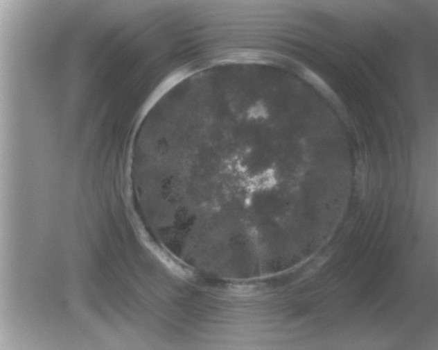 X0000081611378200701221151