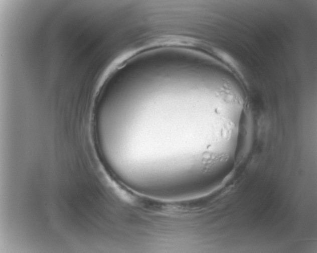 X0000081611379200701221151