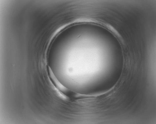 X0000081611380200701221151