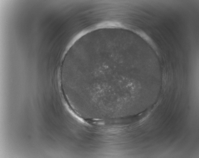 X0000081611382200701221151