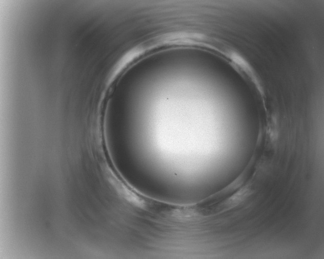 X0000081611384200701221151